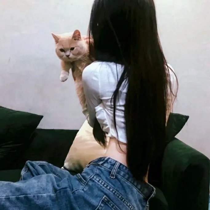 功夫熊猫之师父的秘密