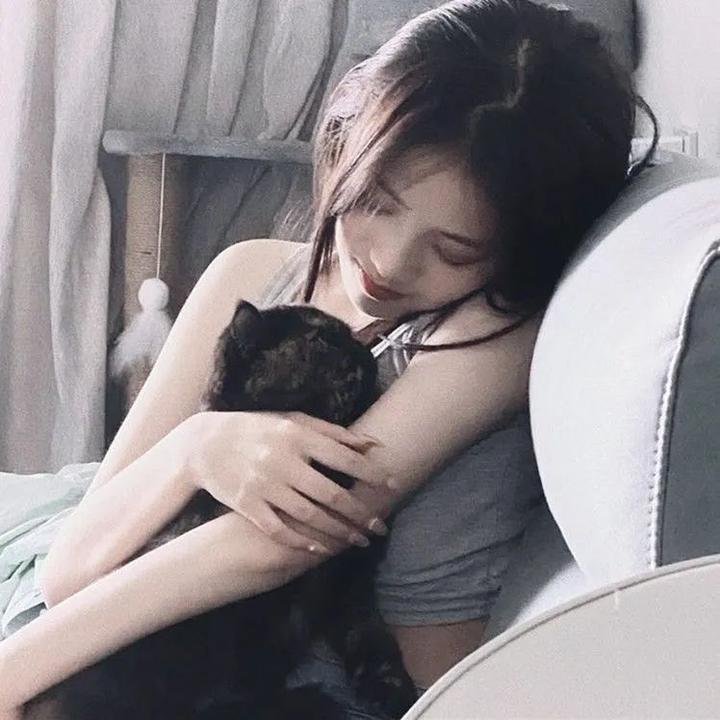 顽皮豹之怀念探长