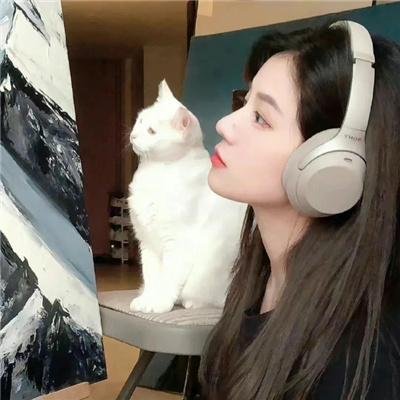 德黑兰魅影